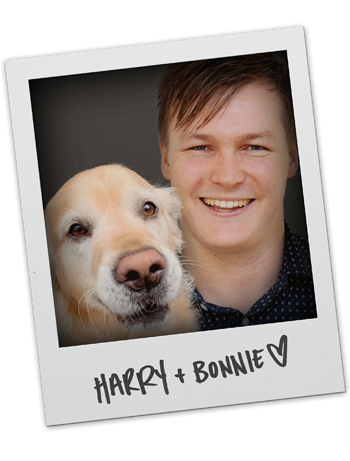 Harry Pepperell account manager and puppy enthusiast, BossMan Media